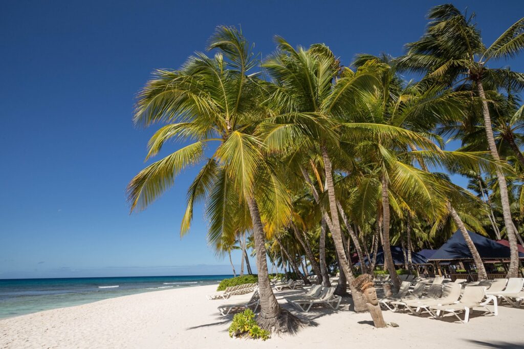 Imagen tipica de una playa de la republica dominicana