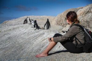 mujer en sudafrica viendo los pinguinos pasear