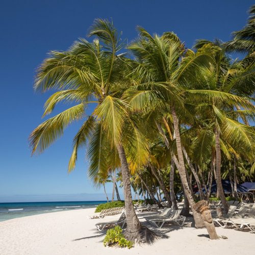 Descubre la República Dominicana: tradiciones, curiosidades e itinerarios